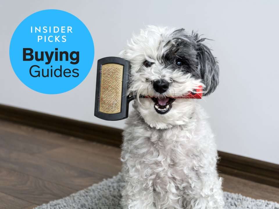 Best brush for schnoodle sale