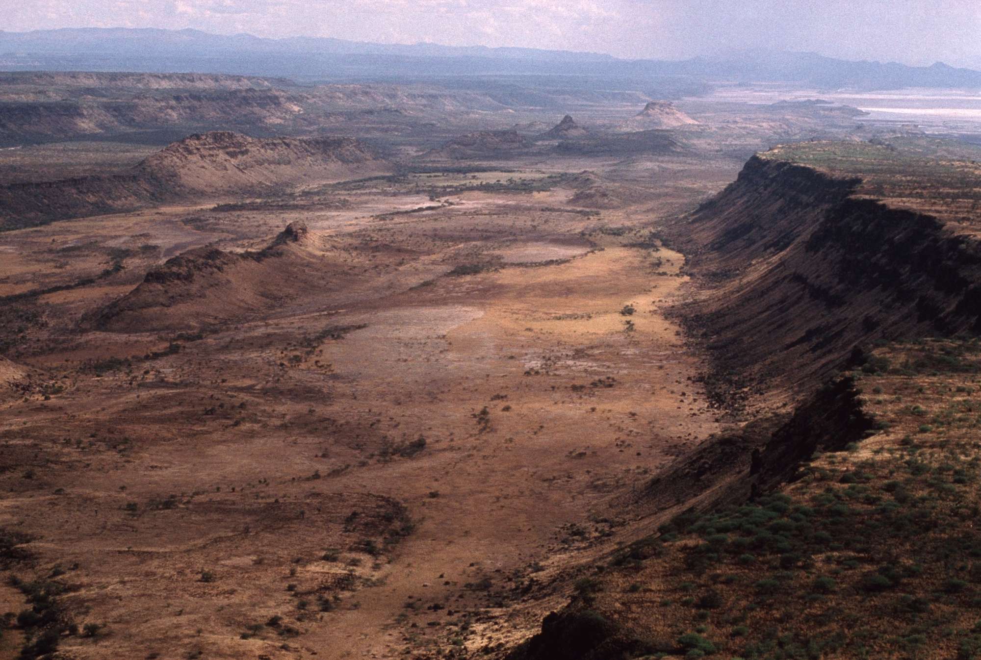 rift-valley-which-began-forming-about-40-million-years-ago-at-times