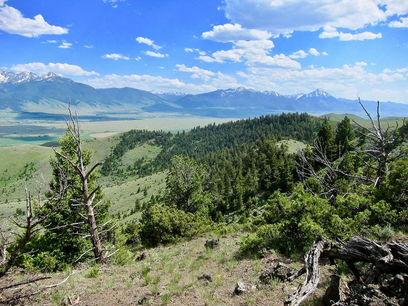 Arthur Blank, billionaire cofounder of Home Depot and owner of the NFL's Atlanta  Falcons, just bought a $20 million Montana ranch. Take a look at the  9,300-acre property.