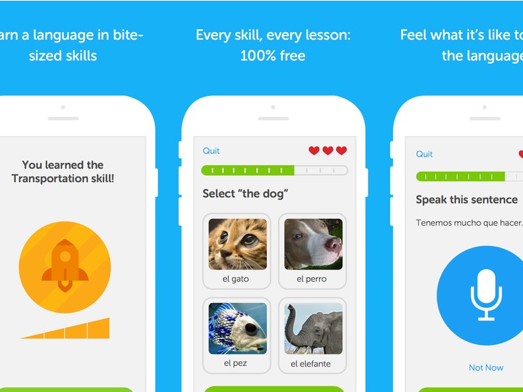 Language Learning App Duolingo Is Now Valued At More Than 1 Billion Hot Sex Picture 8435