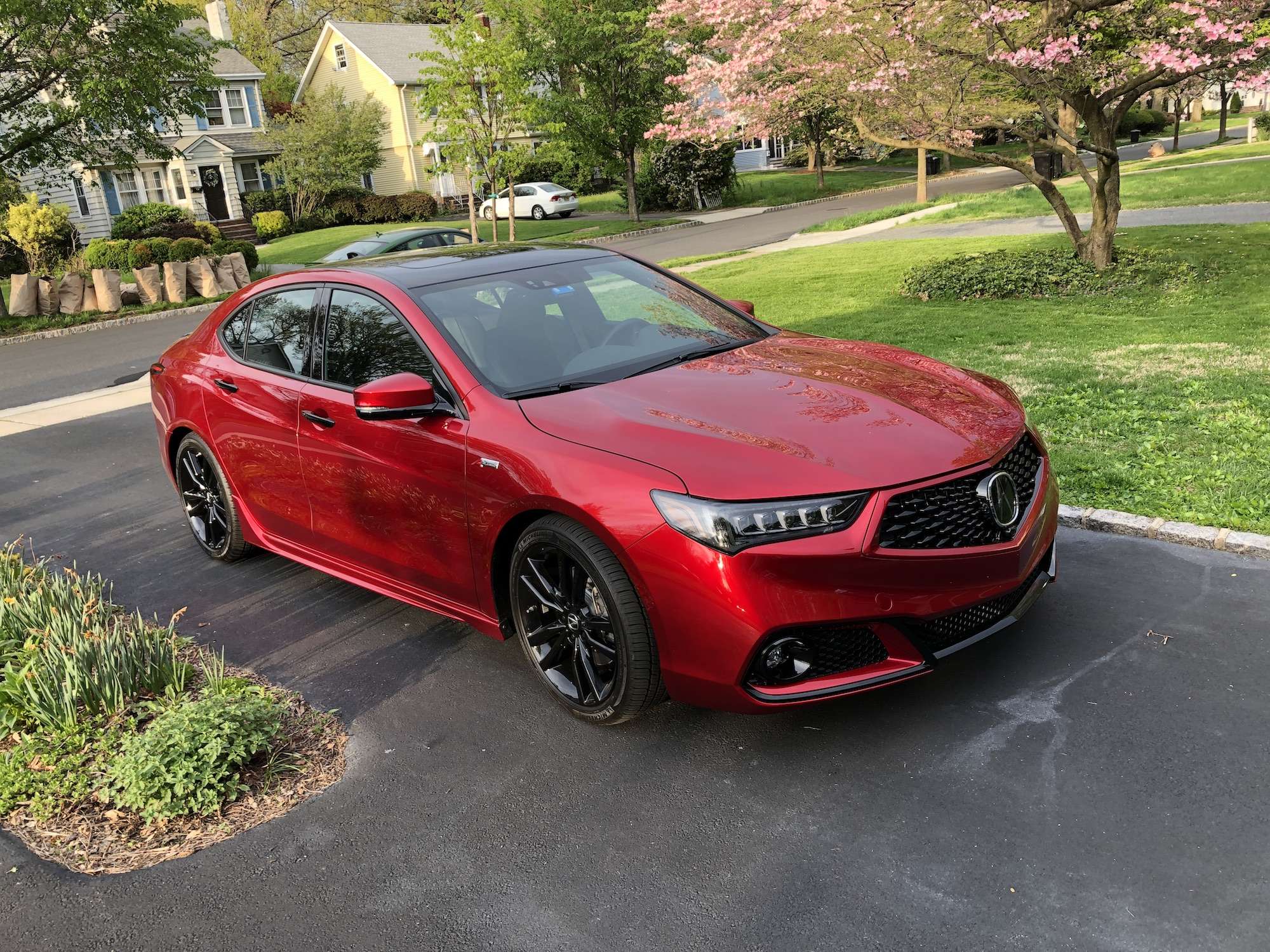 Acura Tlx A Spec 2024 India Janeva Ainslie