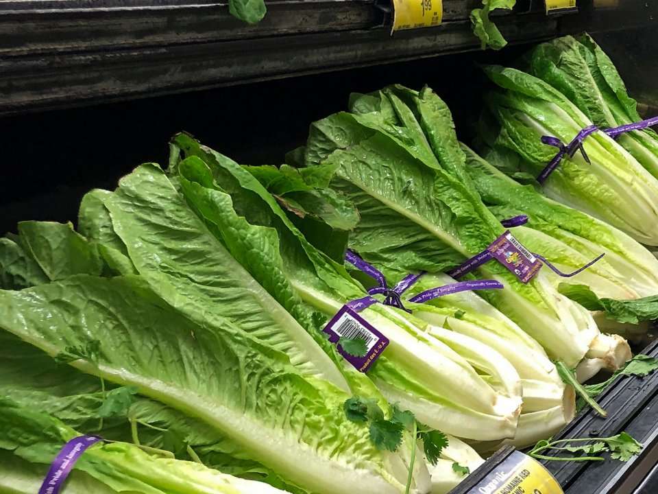 The Romaine Linked E Coli Outbreak Is Officially Over Federal