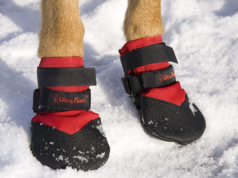 what are the best dog boots for snow