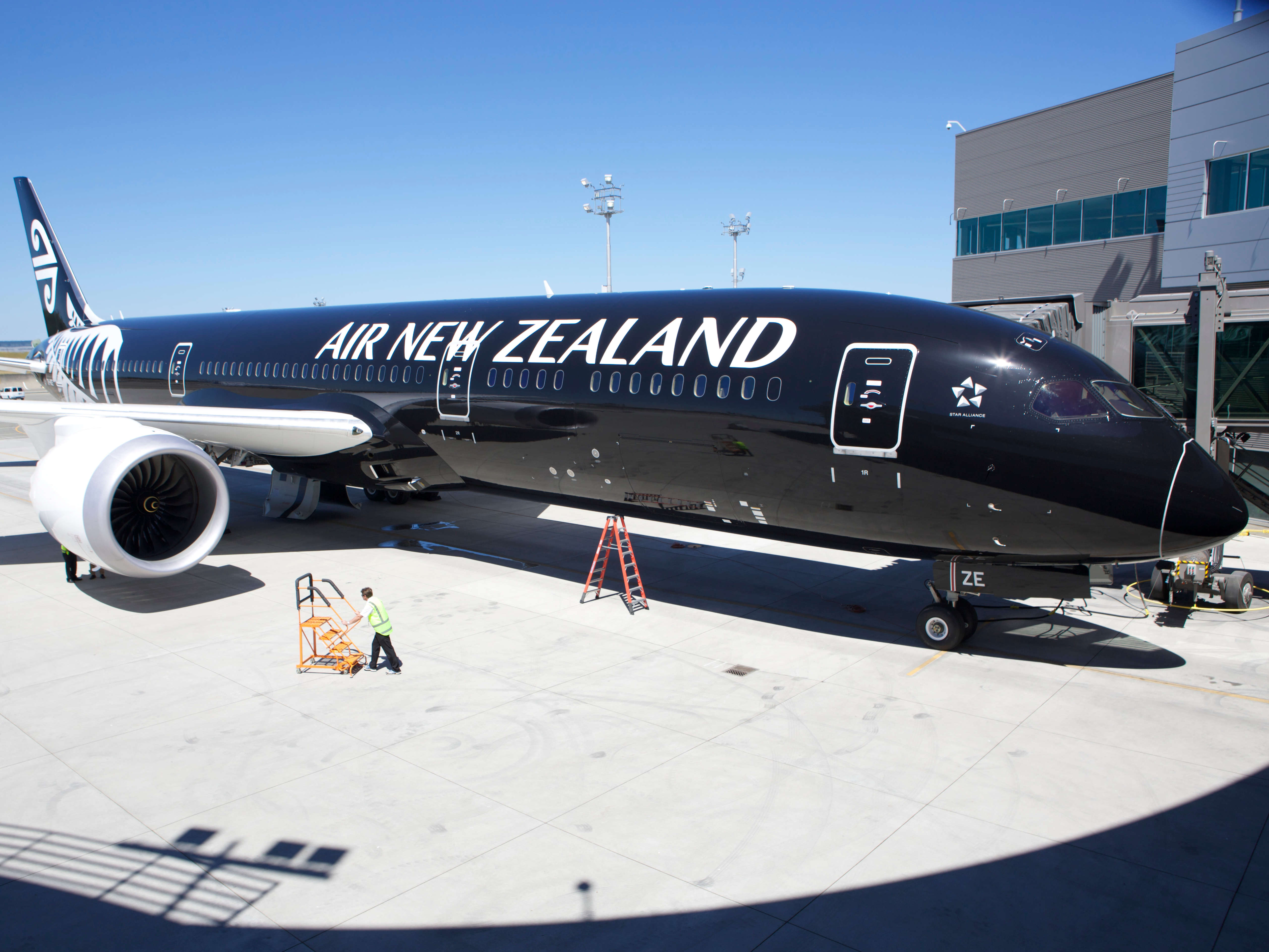 New air. Боинг 787-9 New Zealand. 787 Dreamliner Air New Zealand. Boeing 787 8 Air New Zealand. Дюралюминиевые трубки из которых делают самолёты.