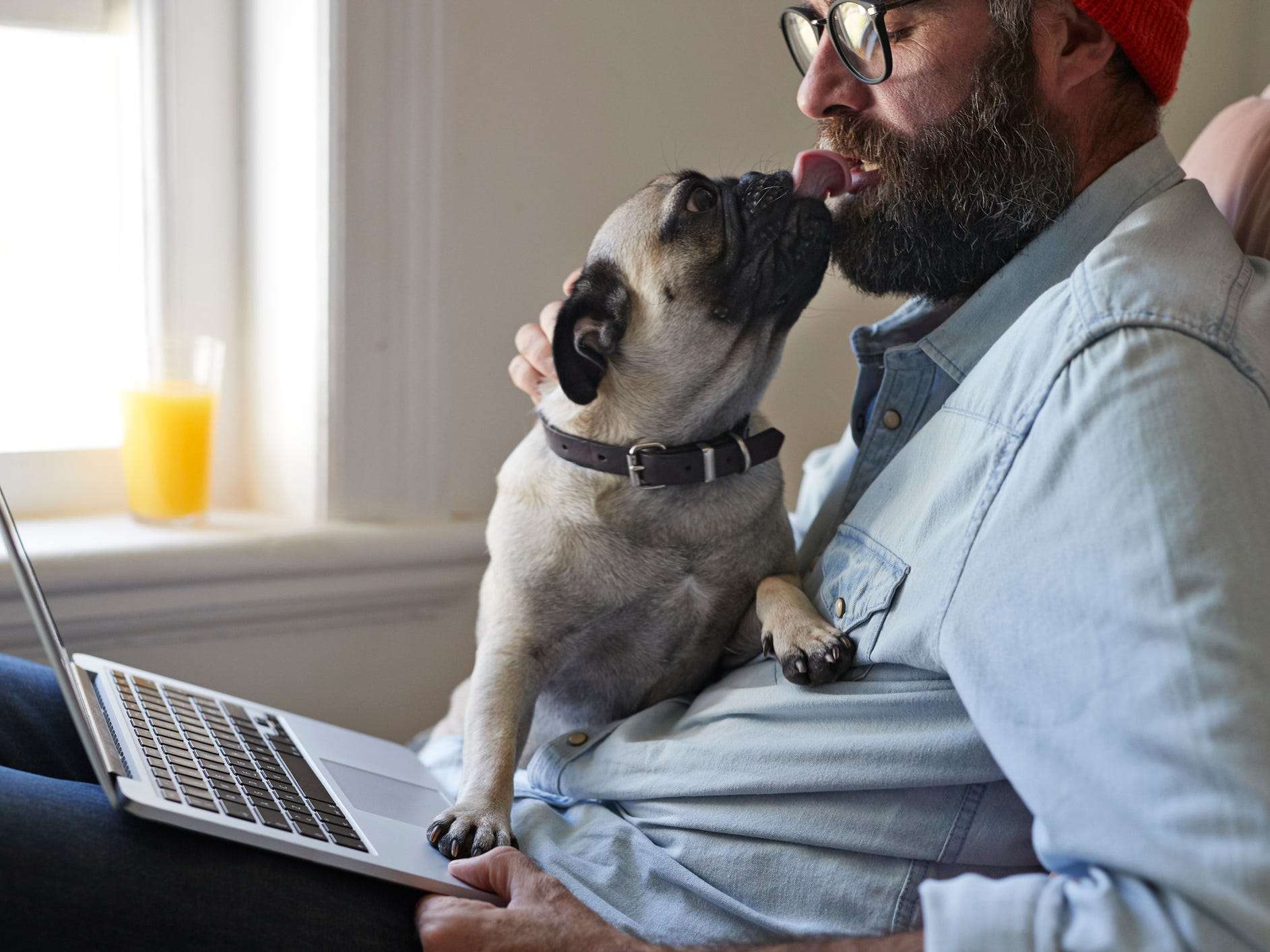 Returning To Work? How To Prevent Dog Separation Anxiety