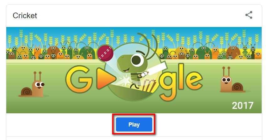 google cricket game play