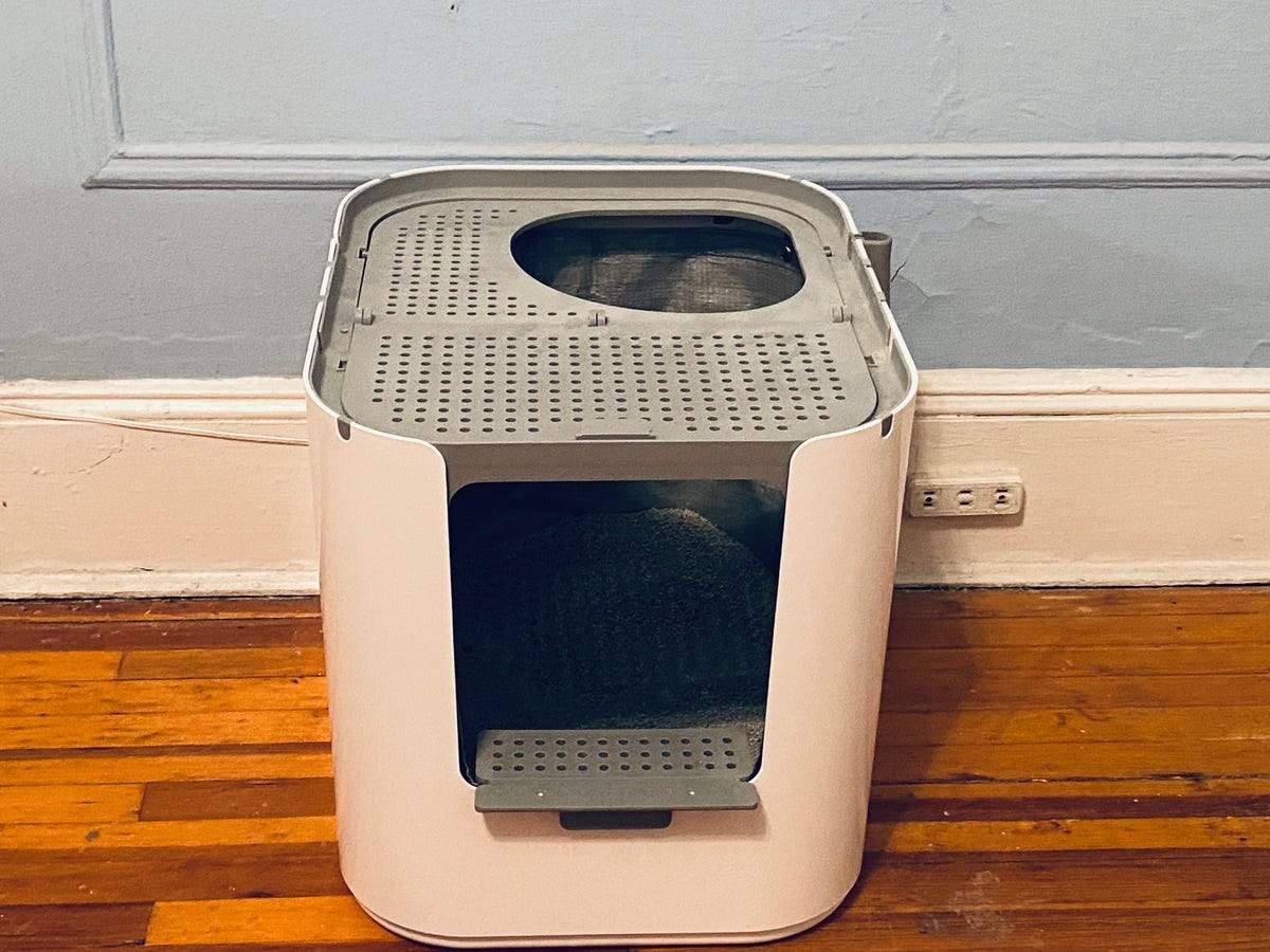 easy access litter box for older cats