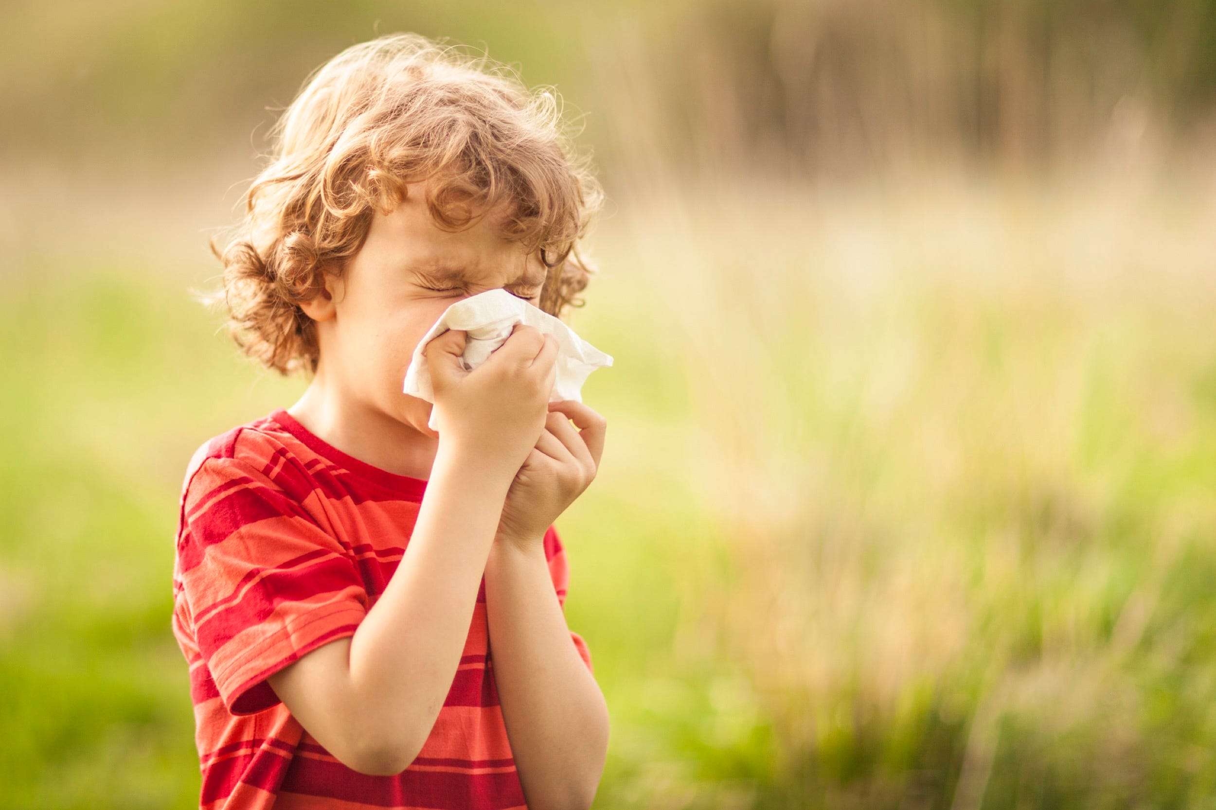 what-causes-summer-allergies-and-how-to-treat-them-business-insider-india