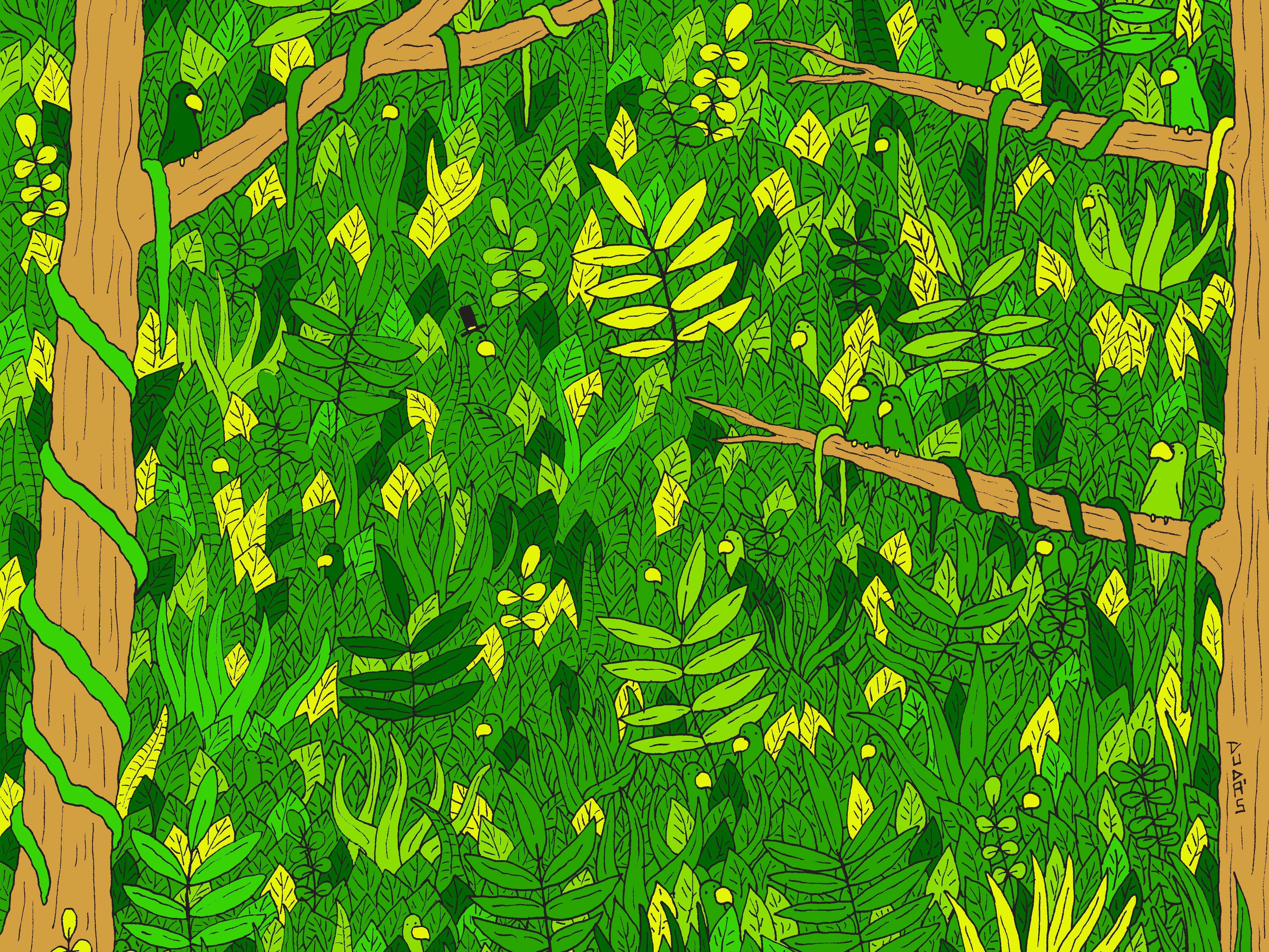 An Artist Buries Hidden Objects In Brain Teasing Illustrations See If You Can Spot The Snake In The Jungle Business Insider India