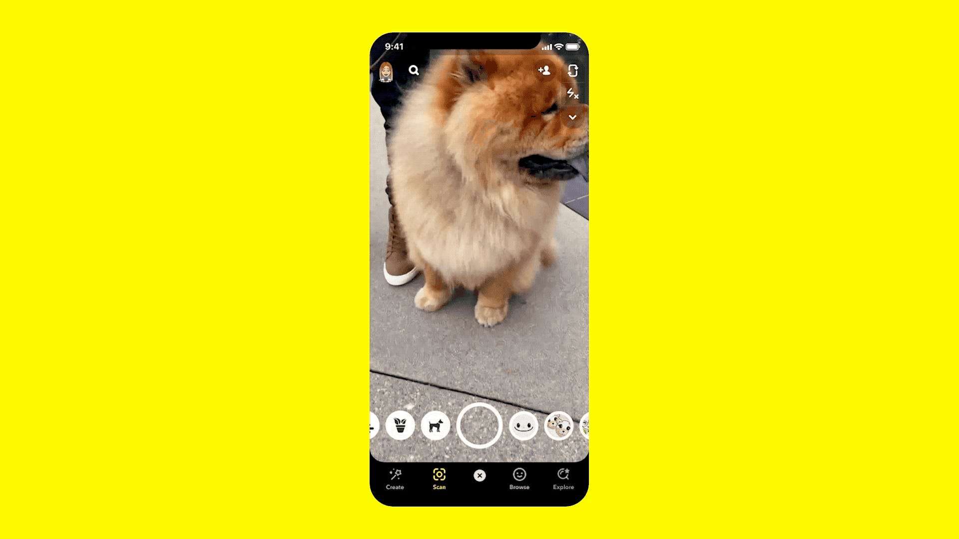 dog breed camera