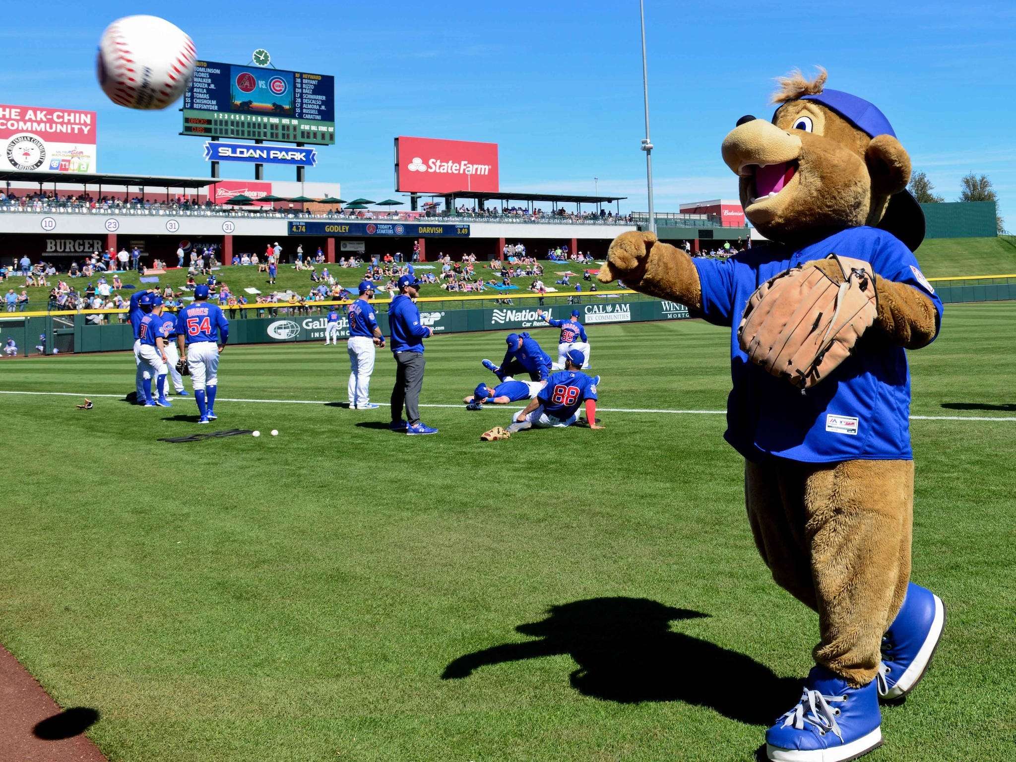 Skates (Chicago Wolves), Clark (Chicago Cubs), Southpaw (Chicago