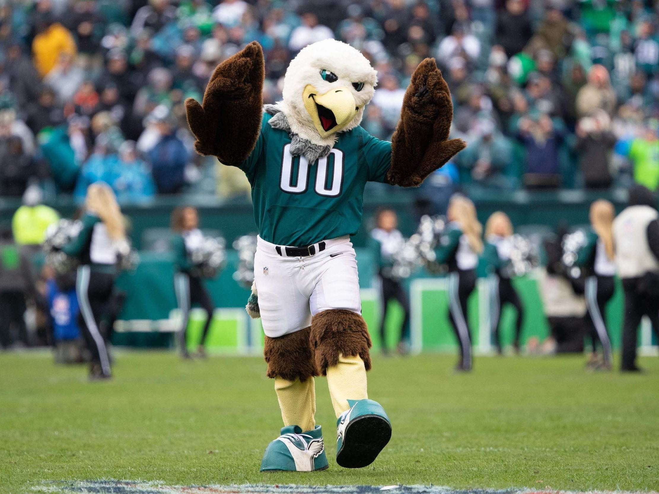 Eagles' Swoop Loses to Buffalo Mascot in List of Best NFL Mascots