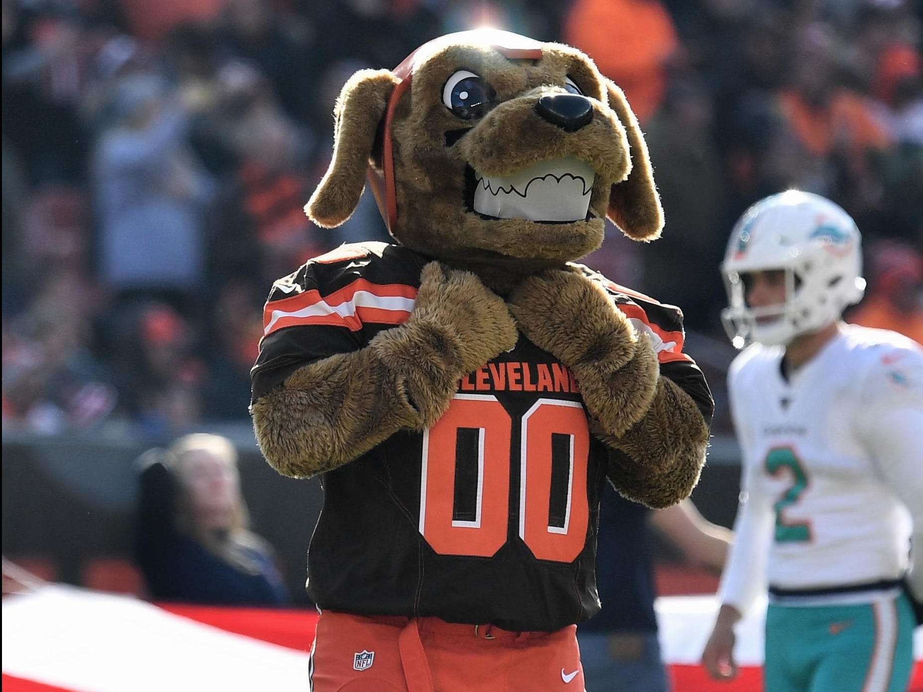 Cleveland Browns Chomps 12 Mascot Statue for sale online