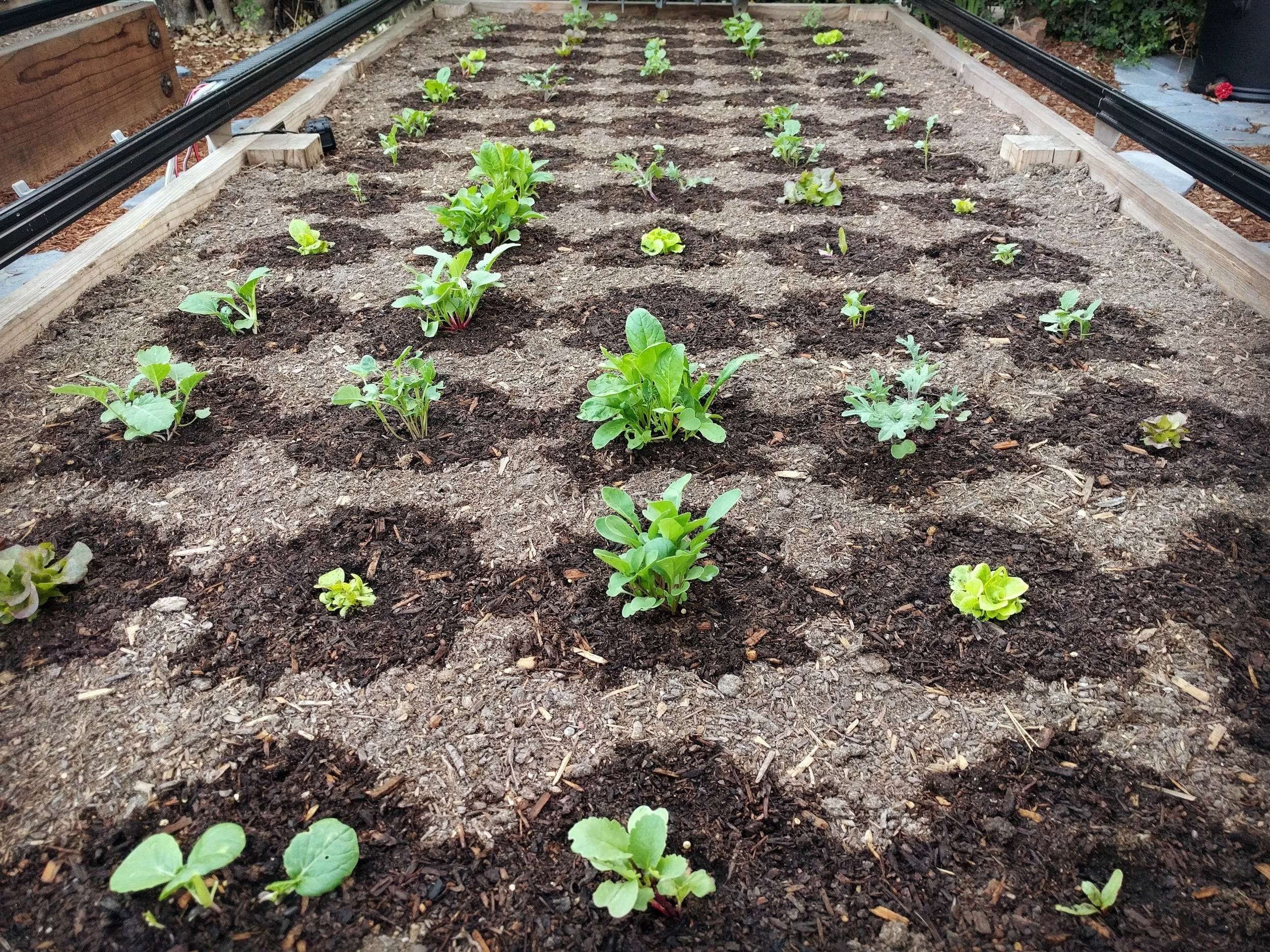 Farmbot Automated Garden Kit Controlled Through App