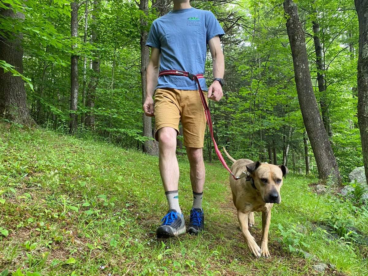 ghost dog leash