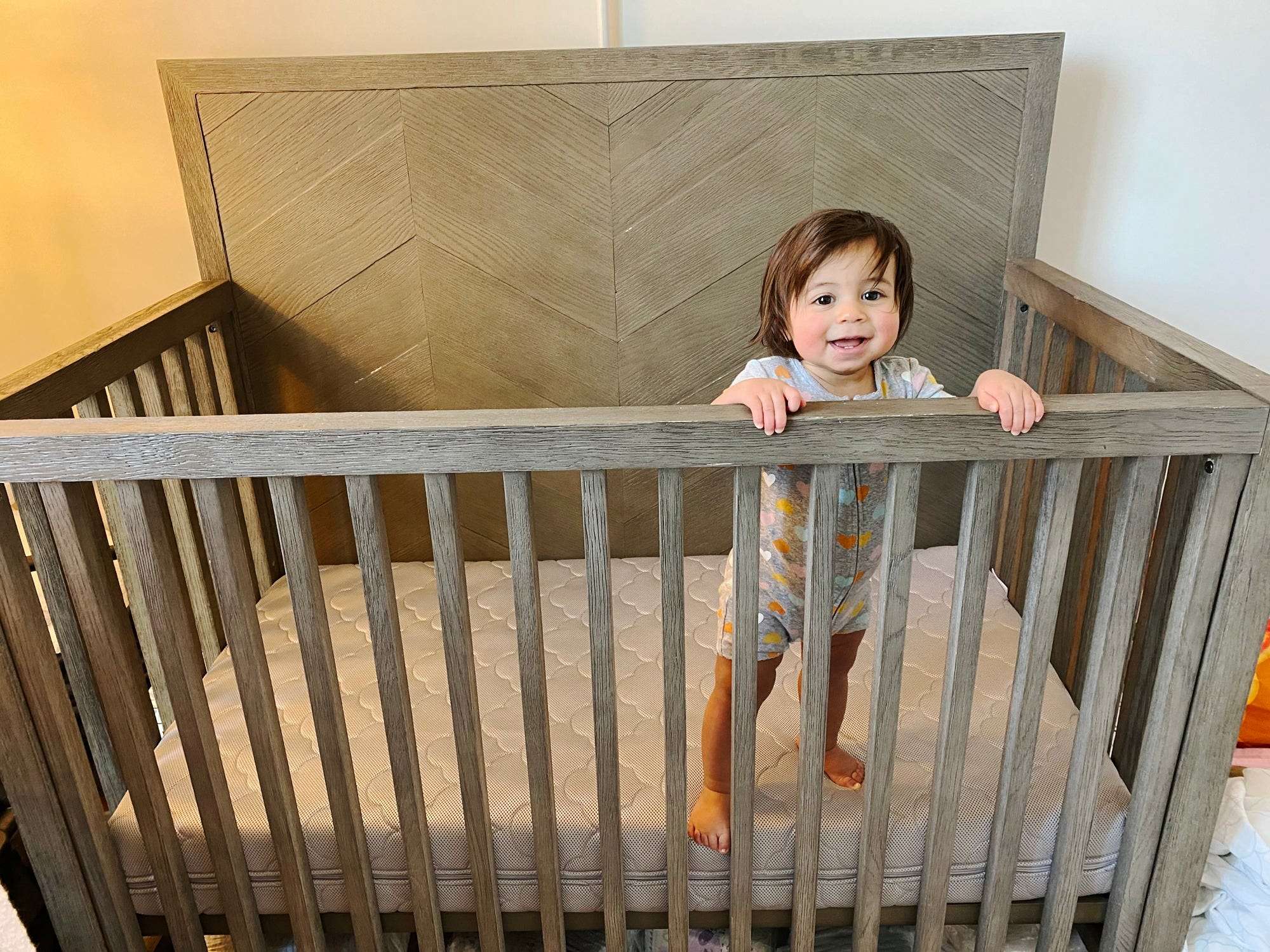 newton crib & toddler mattress
