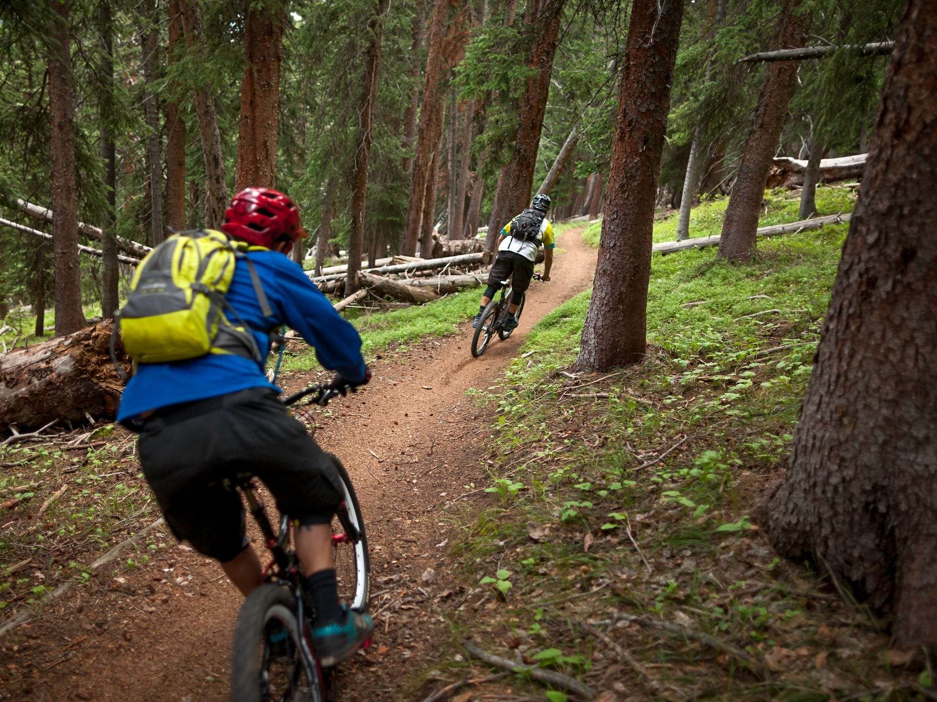 The essential gear beginners need to start mountain biking