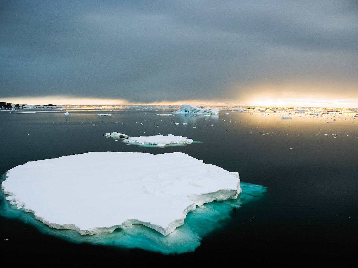 Ice may. Глобальное потепление в Антарктиде. Рифы Антарктика. Ледяной щит. Melting Iceberg.