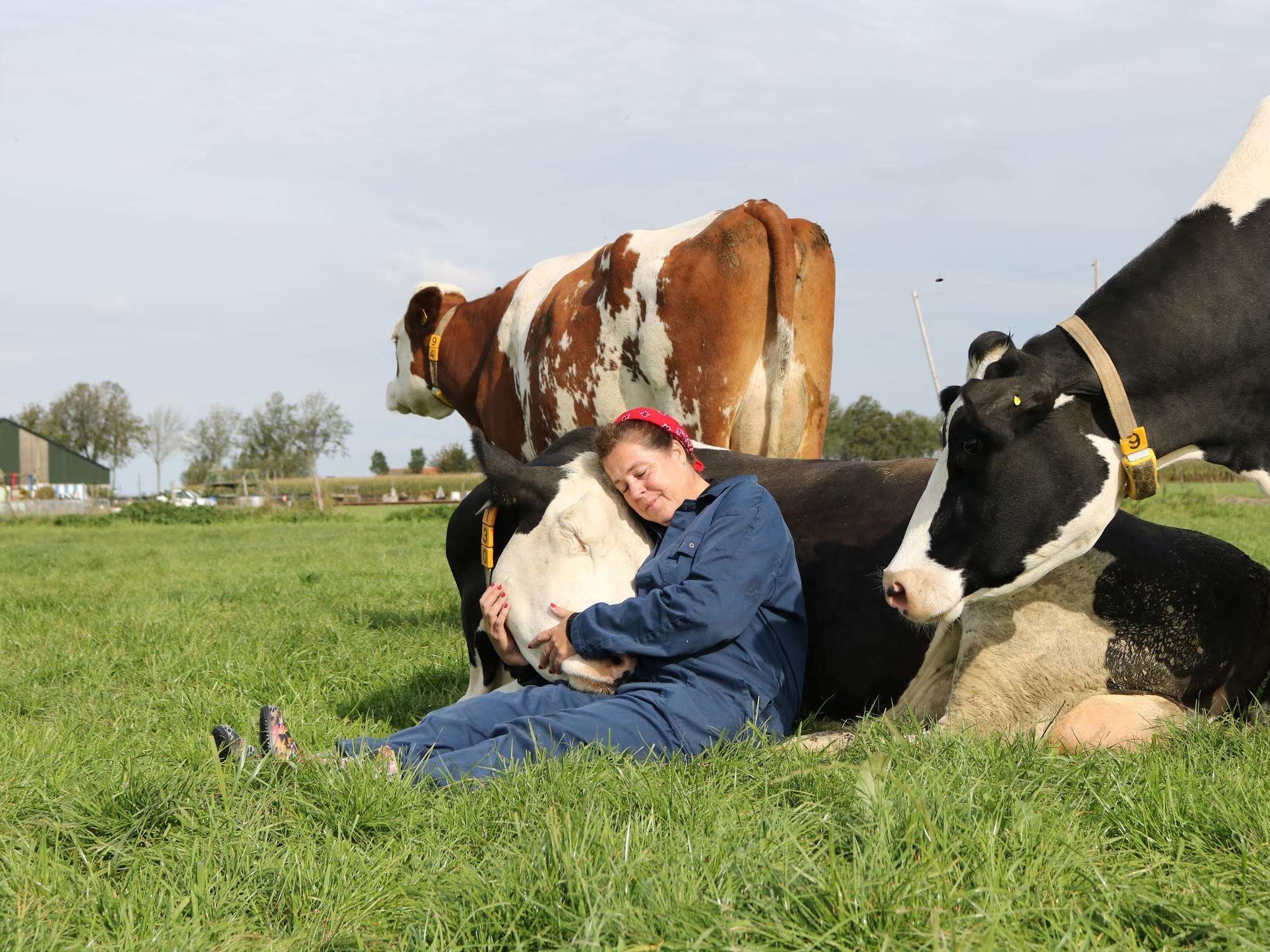 cow-hugging-has-emerged-as-the-latest-global-wellness-trend-to-help