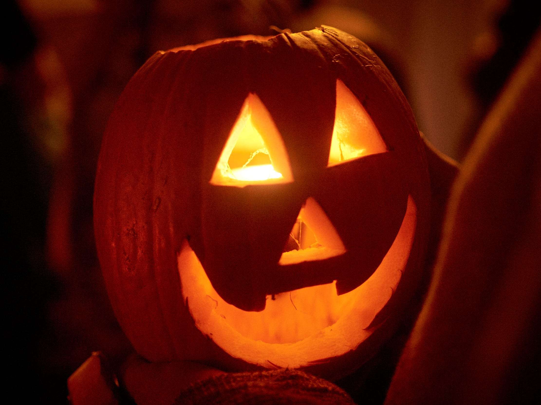 What To Do With Your Jack O Lantern Pumpkin After Halloween According To A Sustainability Expert Business Insider India
