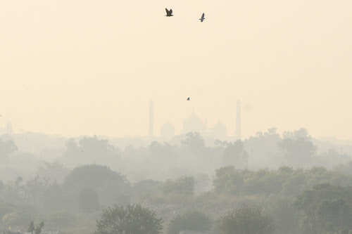 Delhi Ncrs Air Quality On Brink Of Emergency After City Records Aqi Of 487 — Falling In The 3139