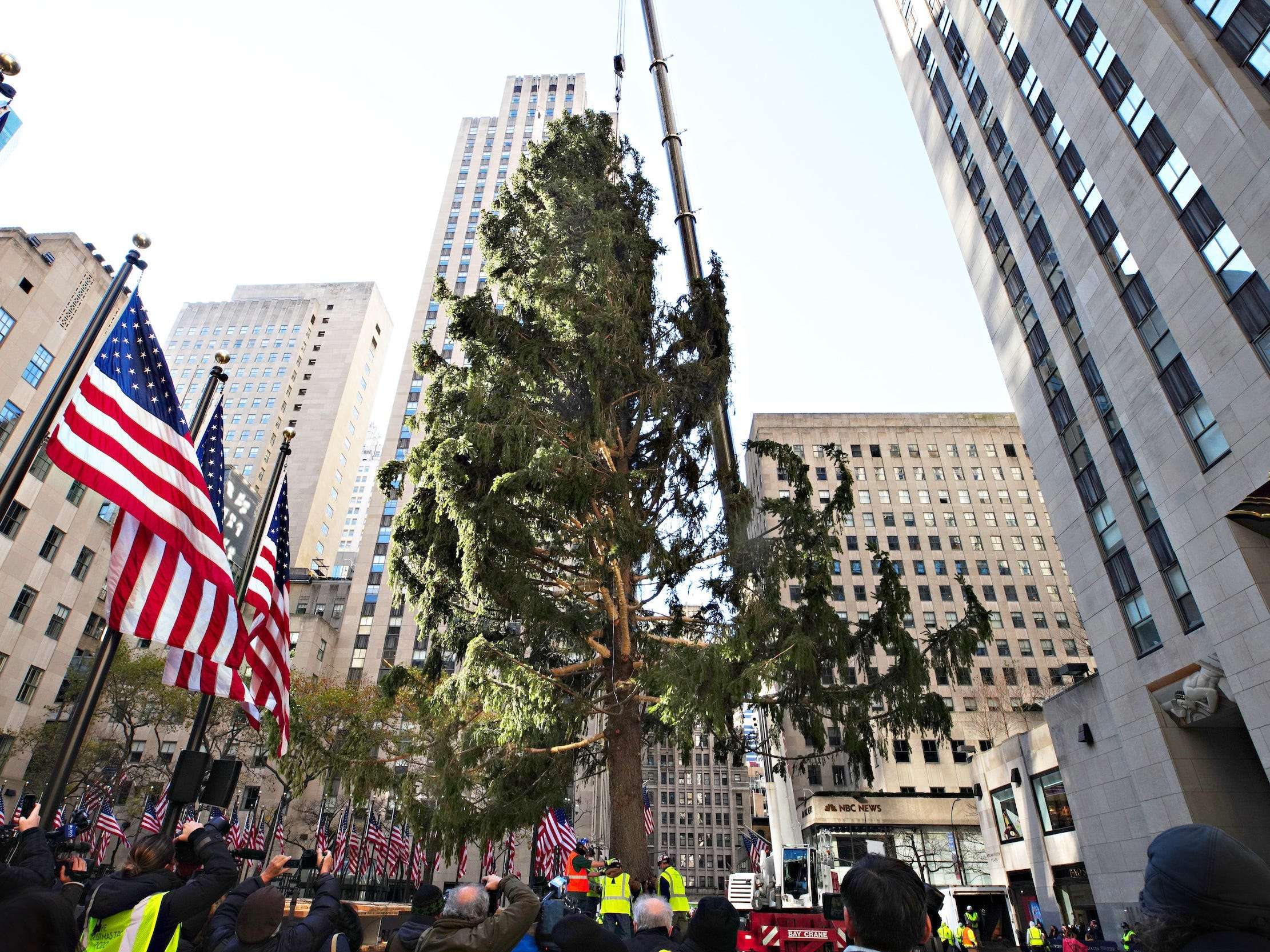 The Rockefeller Christmas tree always looks like a hot mess when it ...