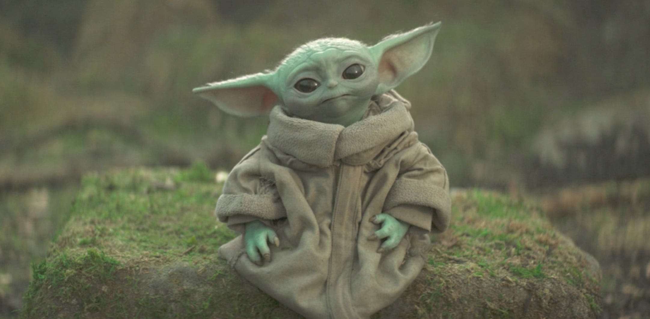 The Mandalorian Reveals Baby Yoda S Real Name