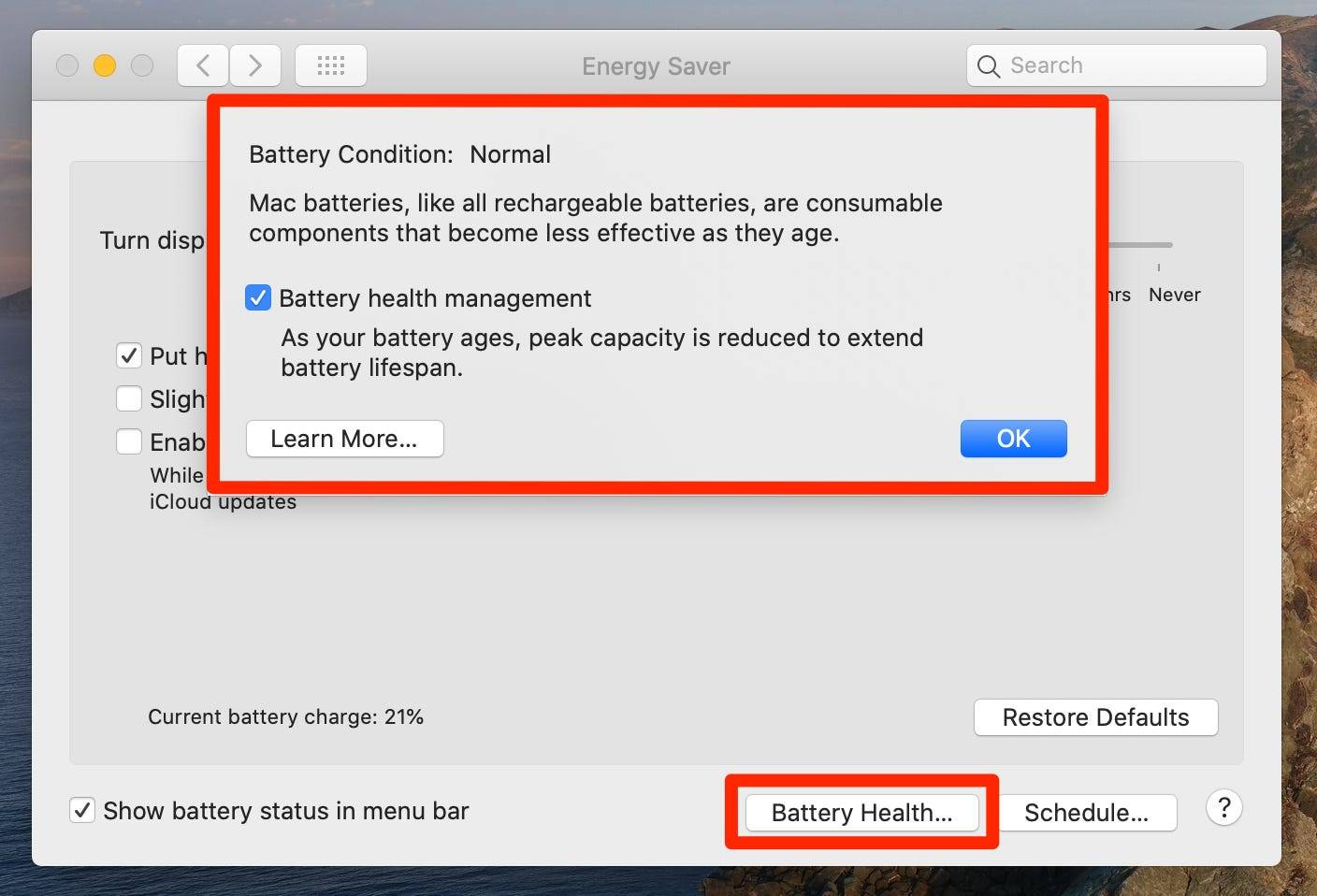 show battery percentage mac os big sur