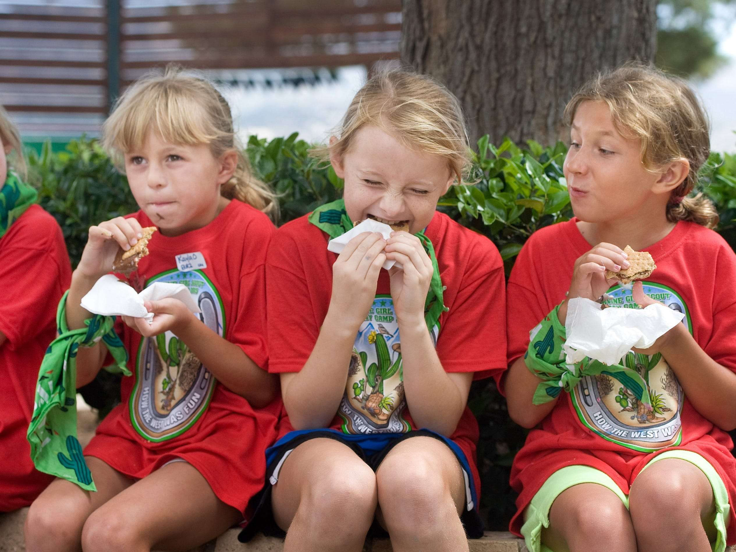 Girl Scout Cookies Linked To Child Labor On Palm Oil Plantations Report