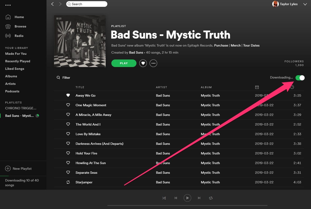 How to download music from Spotify and listen to your favorite songs  offline
