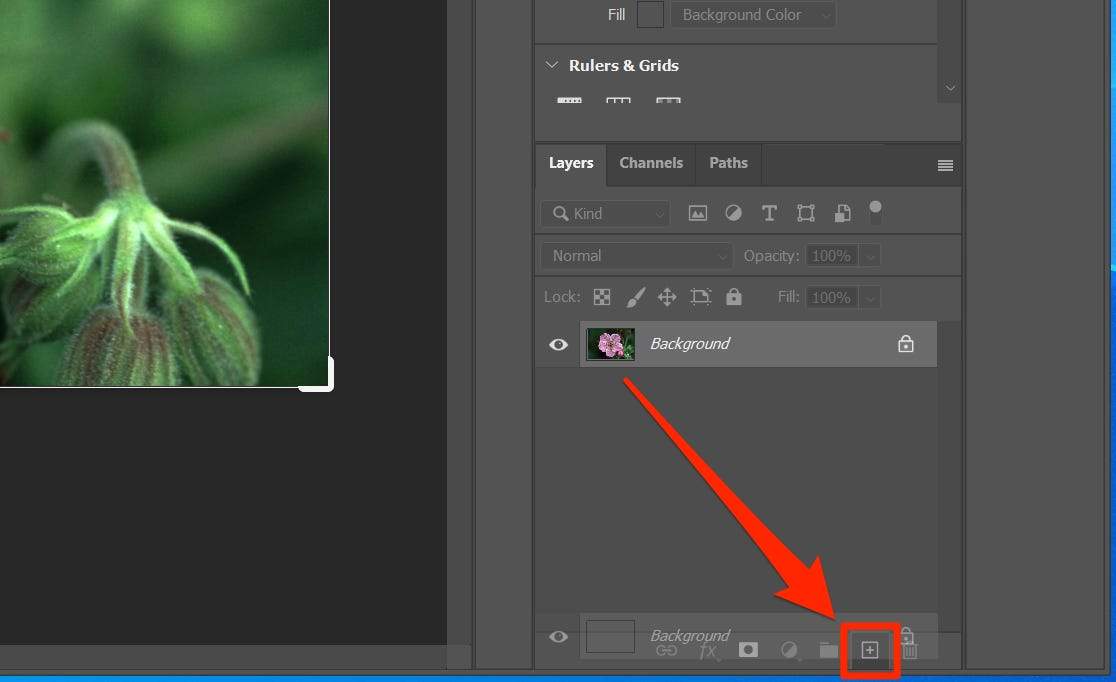 how to use magic wand tool in photoshop for single color
