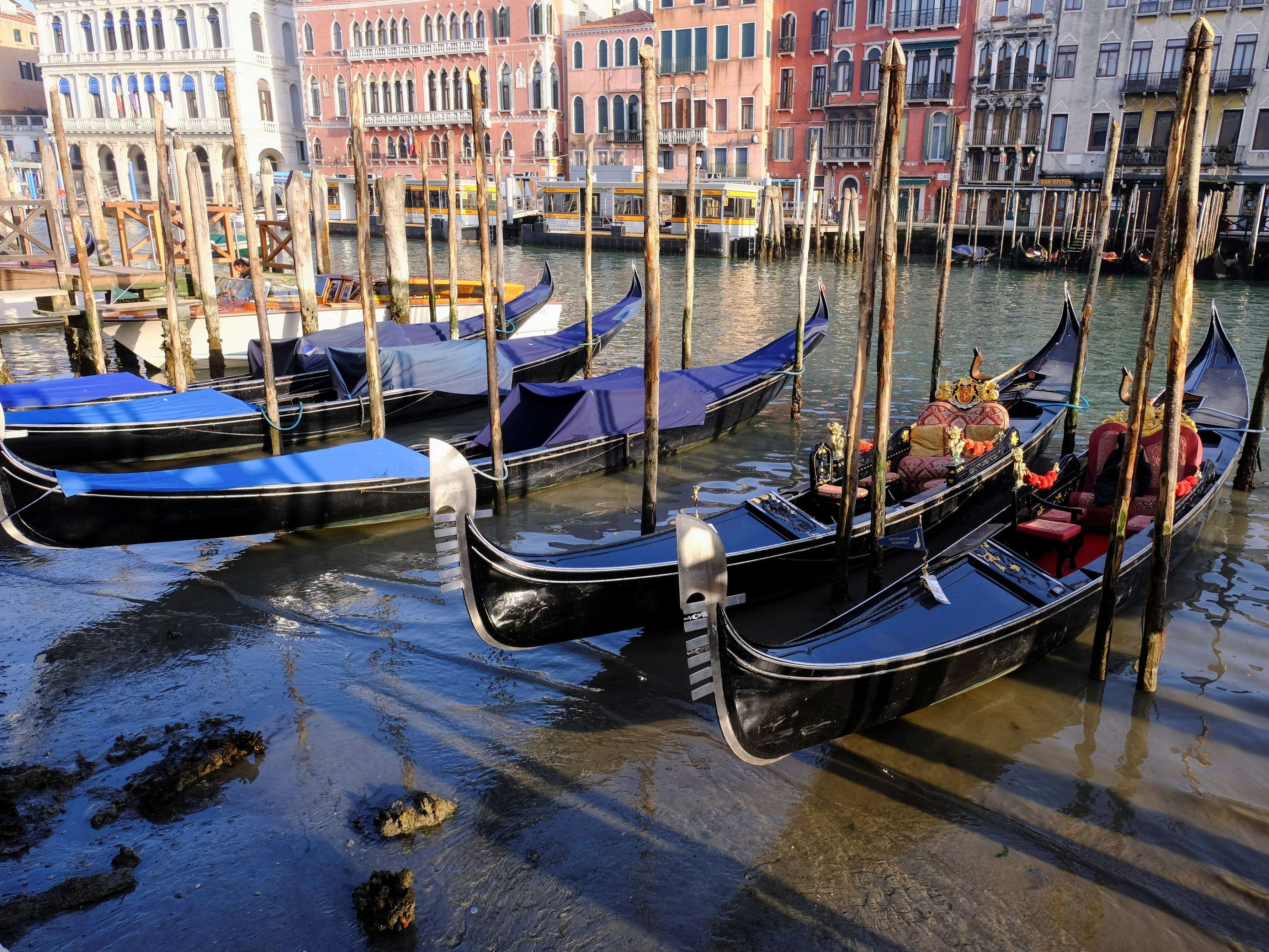 Venice's worldfamous 'streets of water' left dry after dramatic low