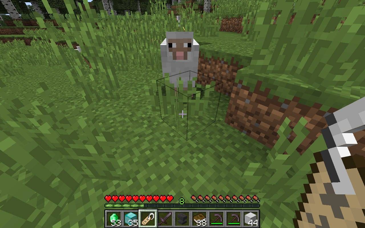 How To Use A Name In Minecraft To Customize Your Favorite Npcs Business Insider India