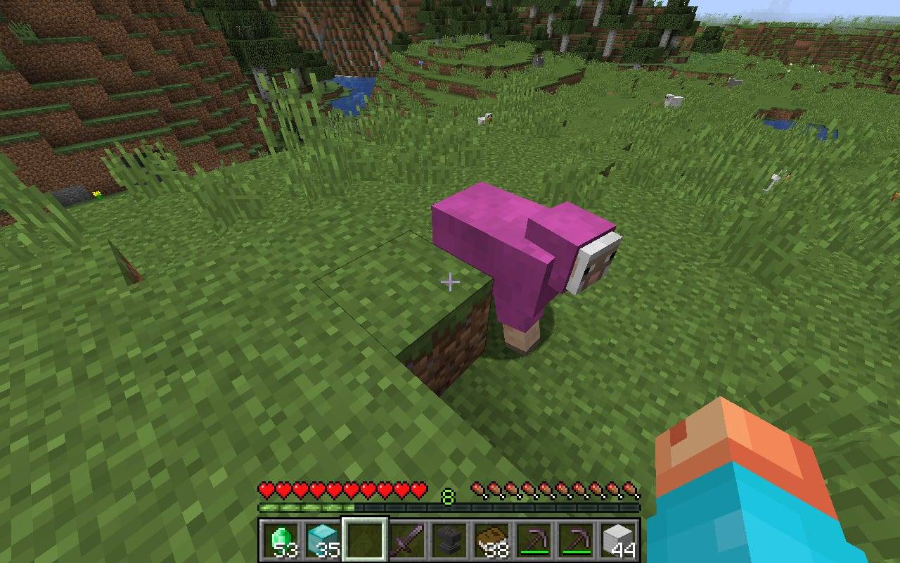 How To Use A Name In Minecraft To Customize Your Favorite Npcs Business Insider India
