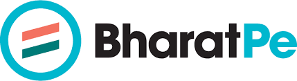 SME lending startup BharatPe raises ₹50 crore in debt from Northern Arc ...