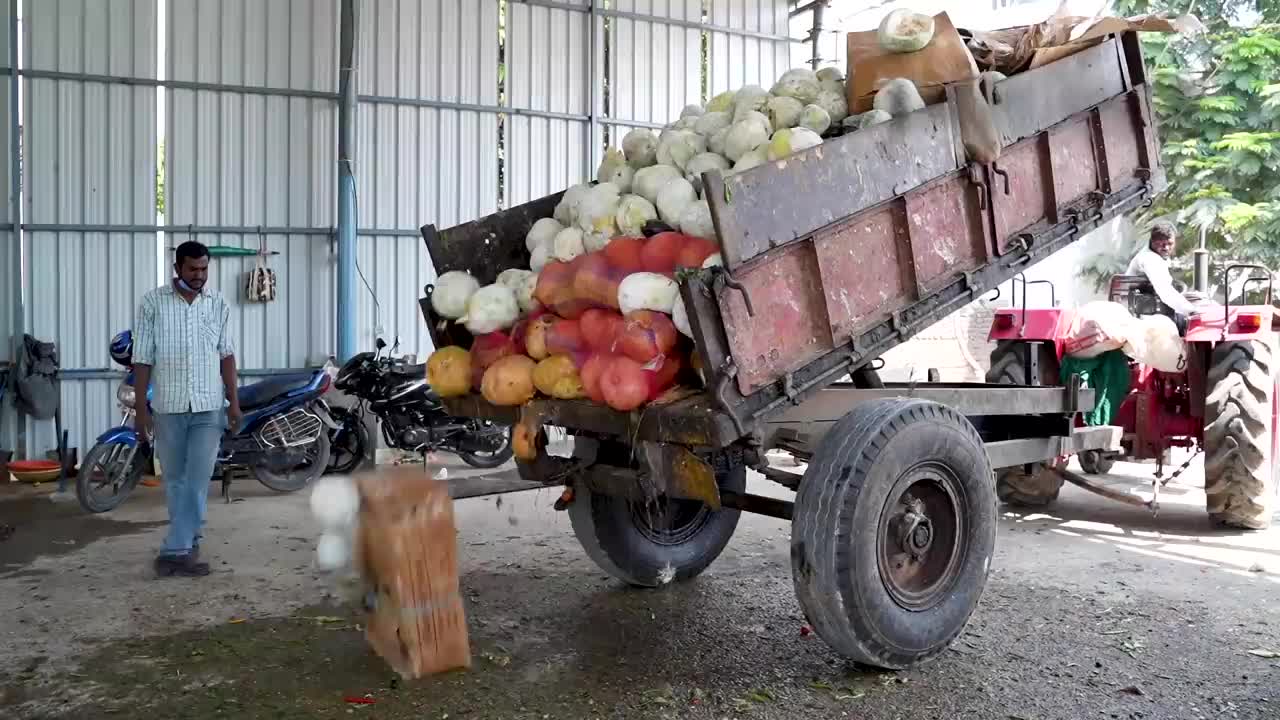 
How rotting vegetables make electricity
