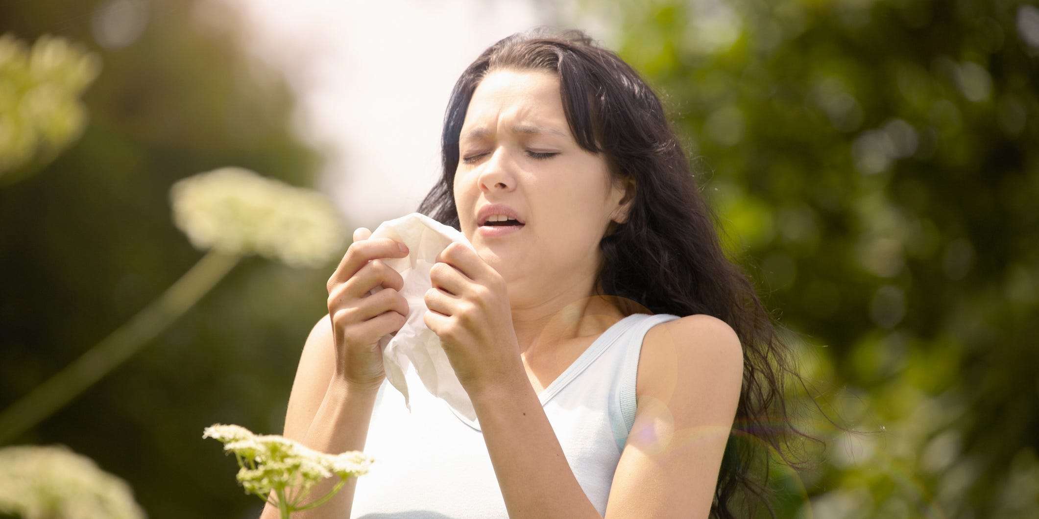 hay-fever-is-an-allergic-reaction-that-causes-sneezing-and-a-runny-nose