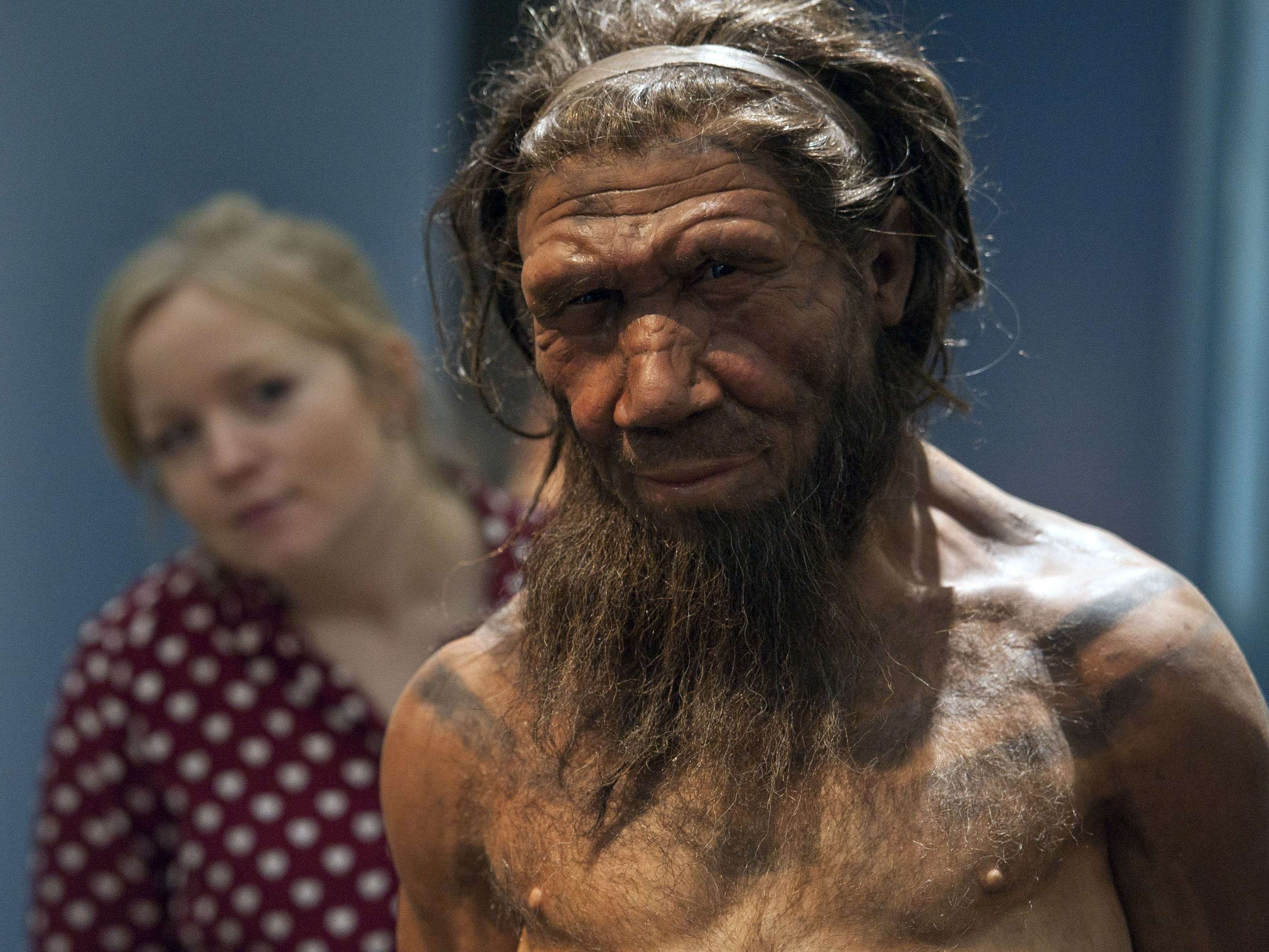 Dragon Man A Mysterious New Human Species Found In China Could Be A