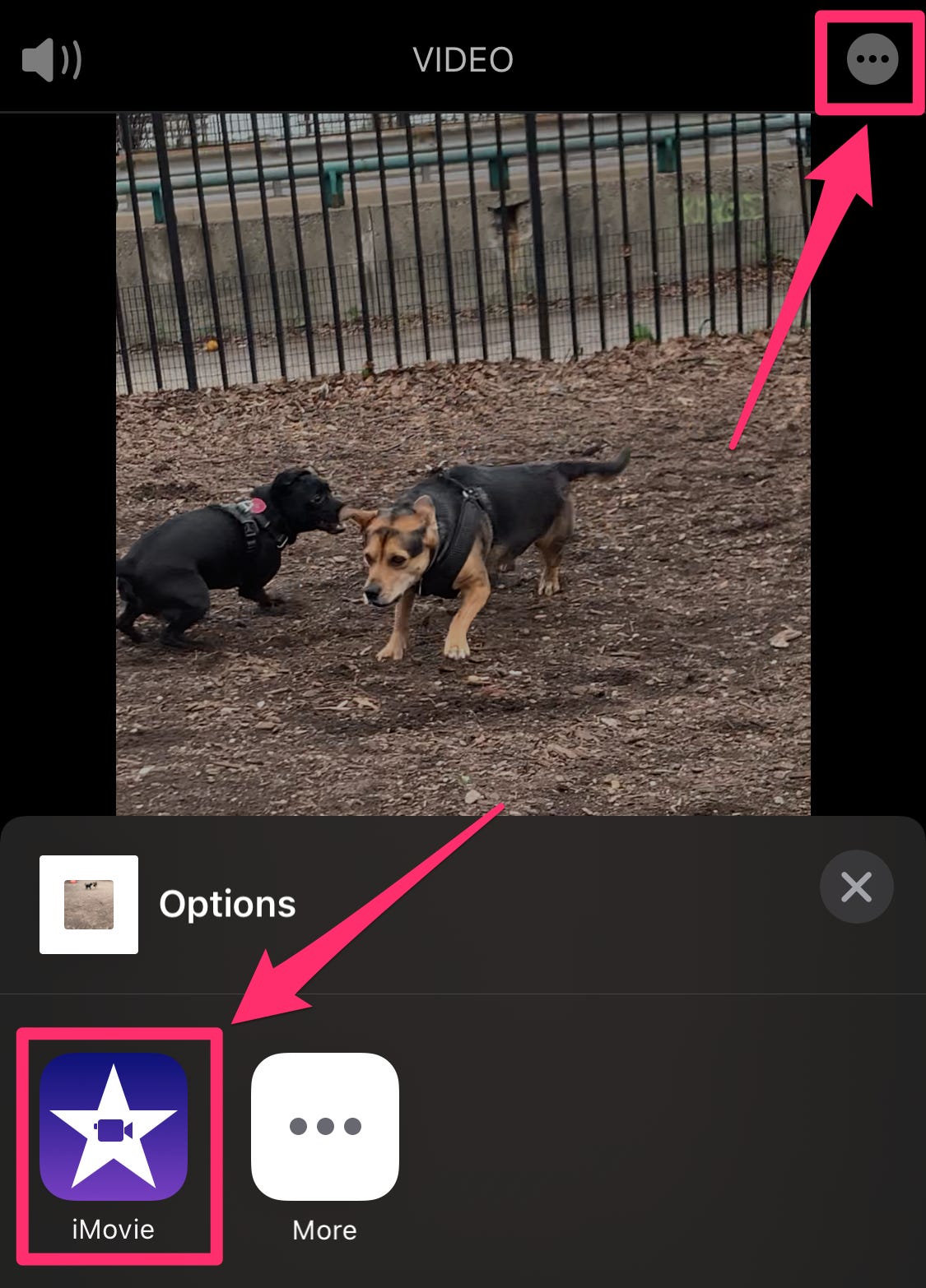 How to rotate a video on your iPhone using the Photos app or iMovie