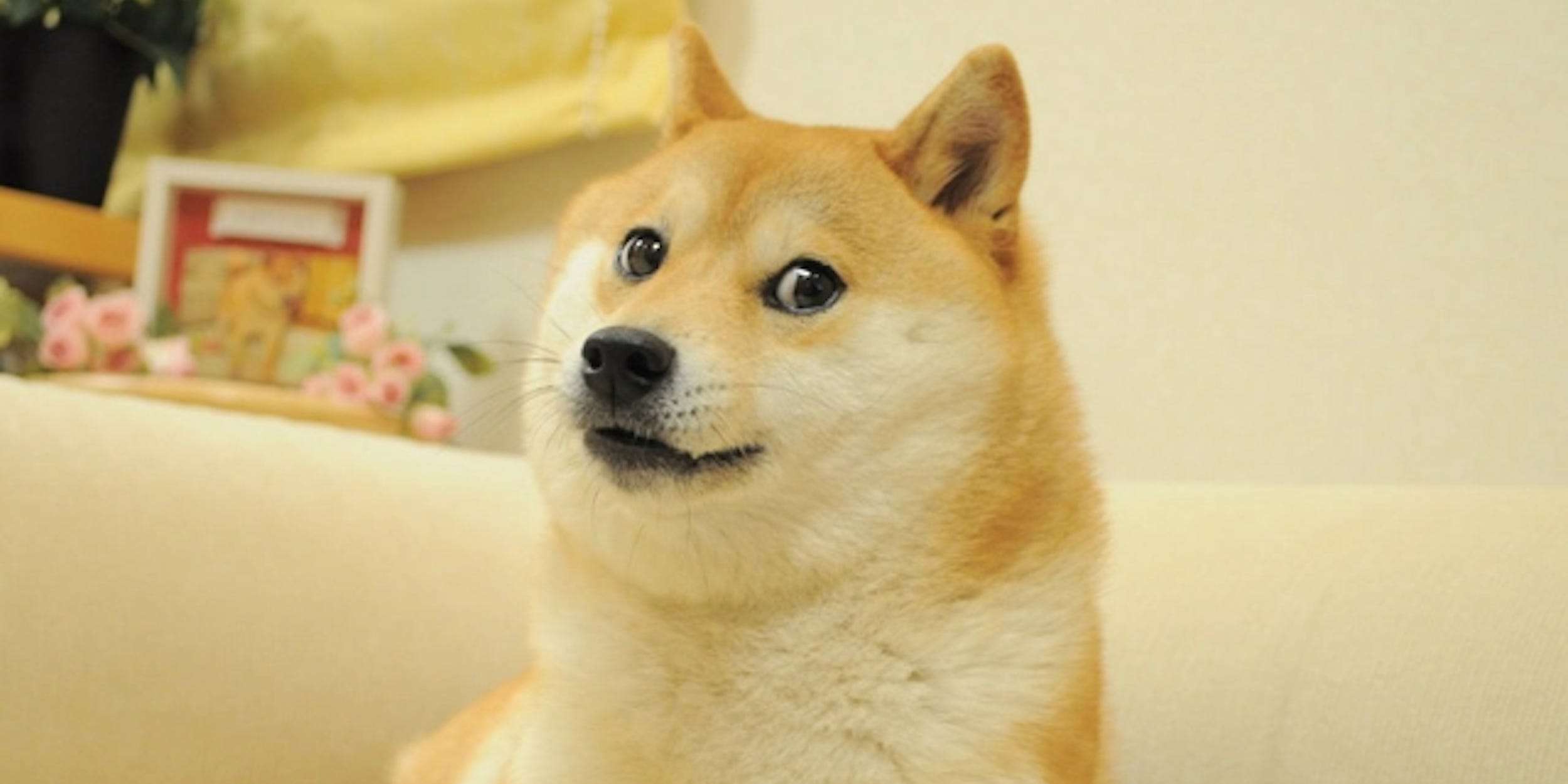 A Dogecoin Spinoff Called Baby Doge Doubled In Price Following An Early ...