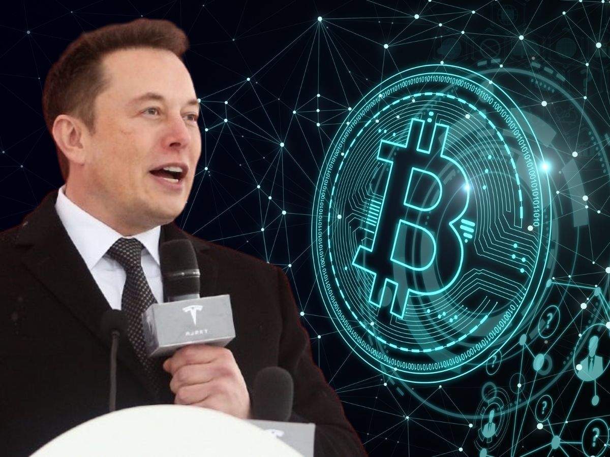 Which bitcoin did elon musk purchase