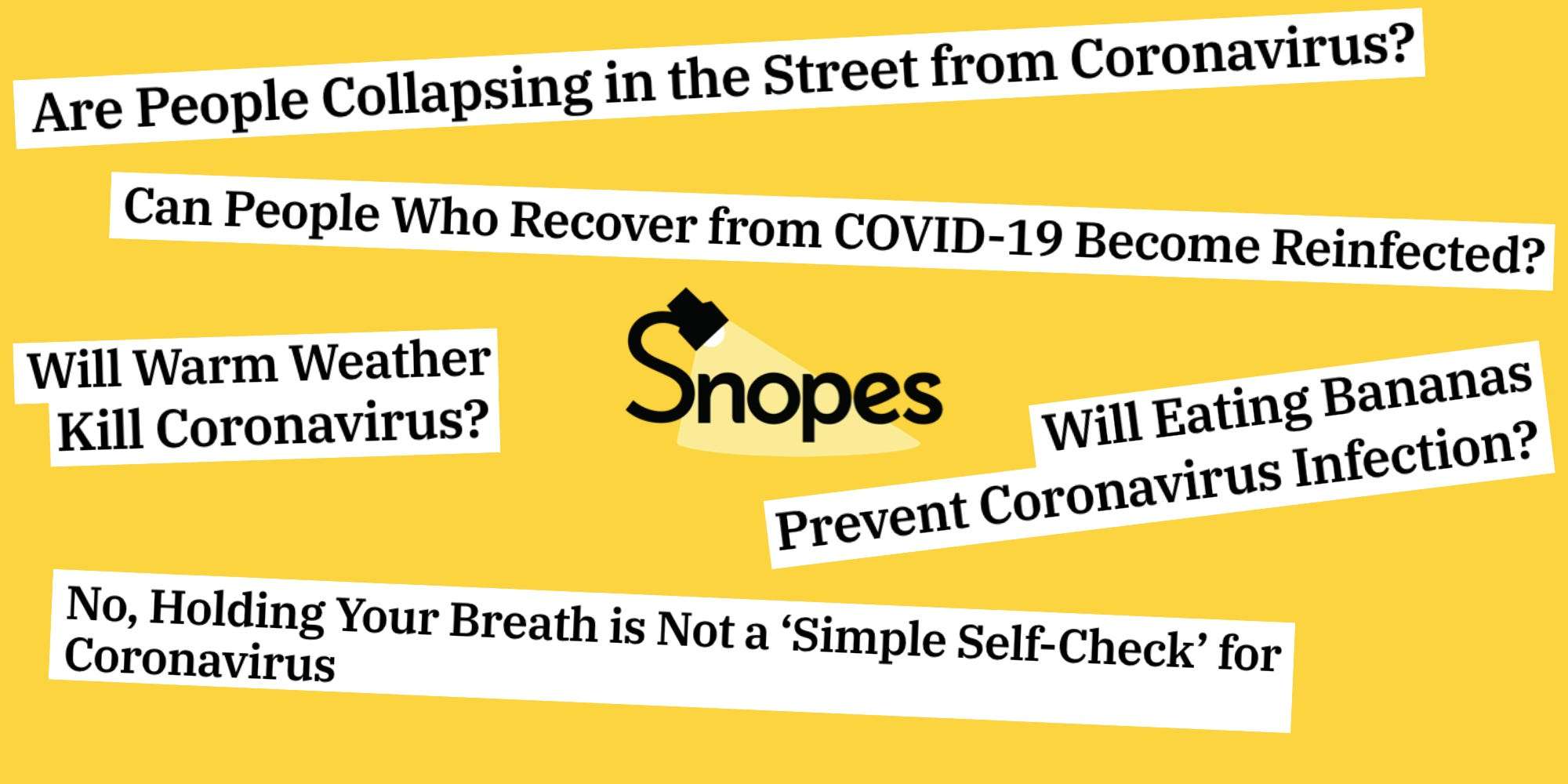 the-ceo-of-fact-checking-site-snopes-was-caught-plagiarizing-dozens-of