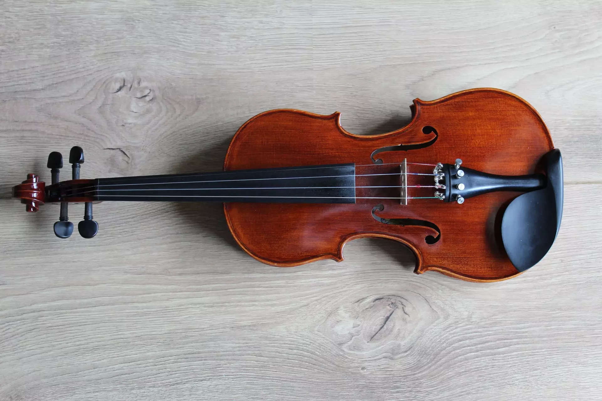 Best violins beginners | Business Insider India