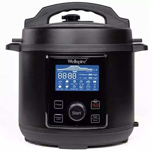 indian electric pressure cooker