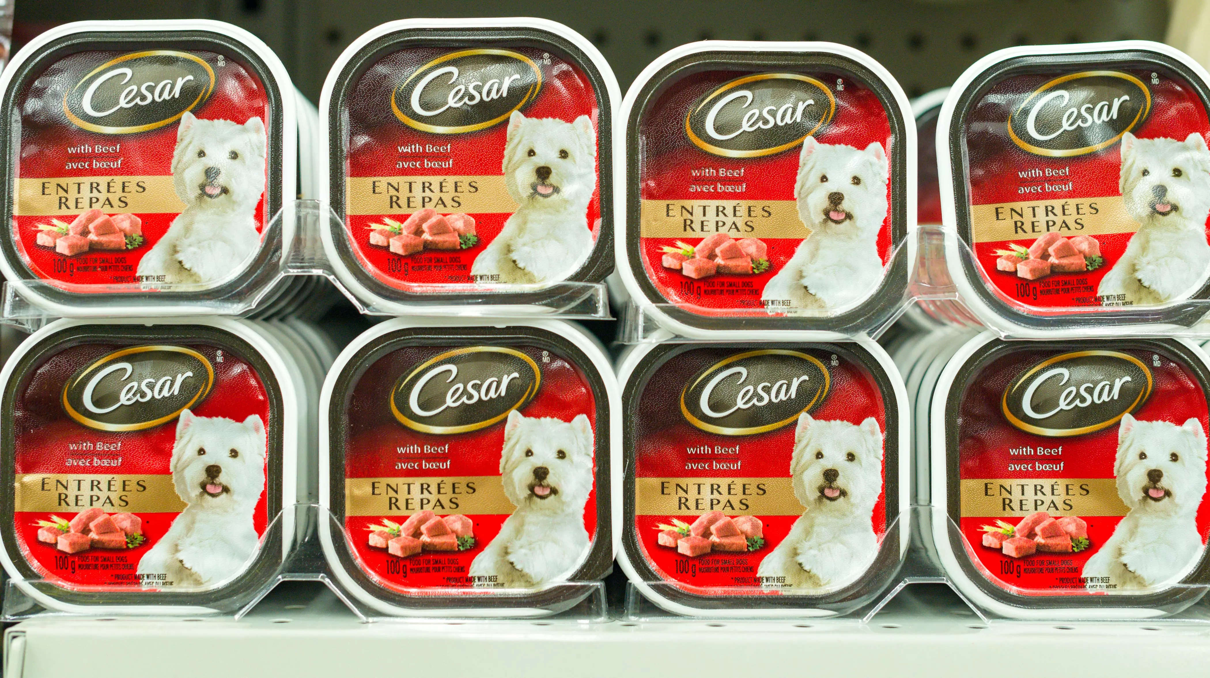 major-pet-food-brands-are-missing-from-the-uk-s-biggest-supermarket