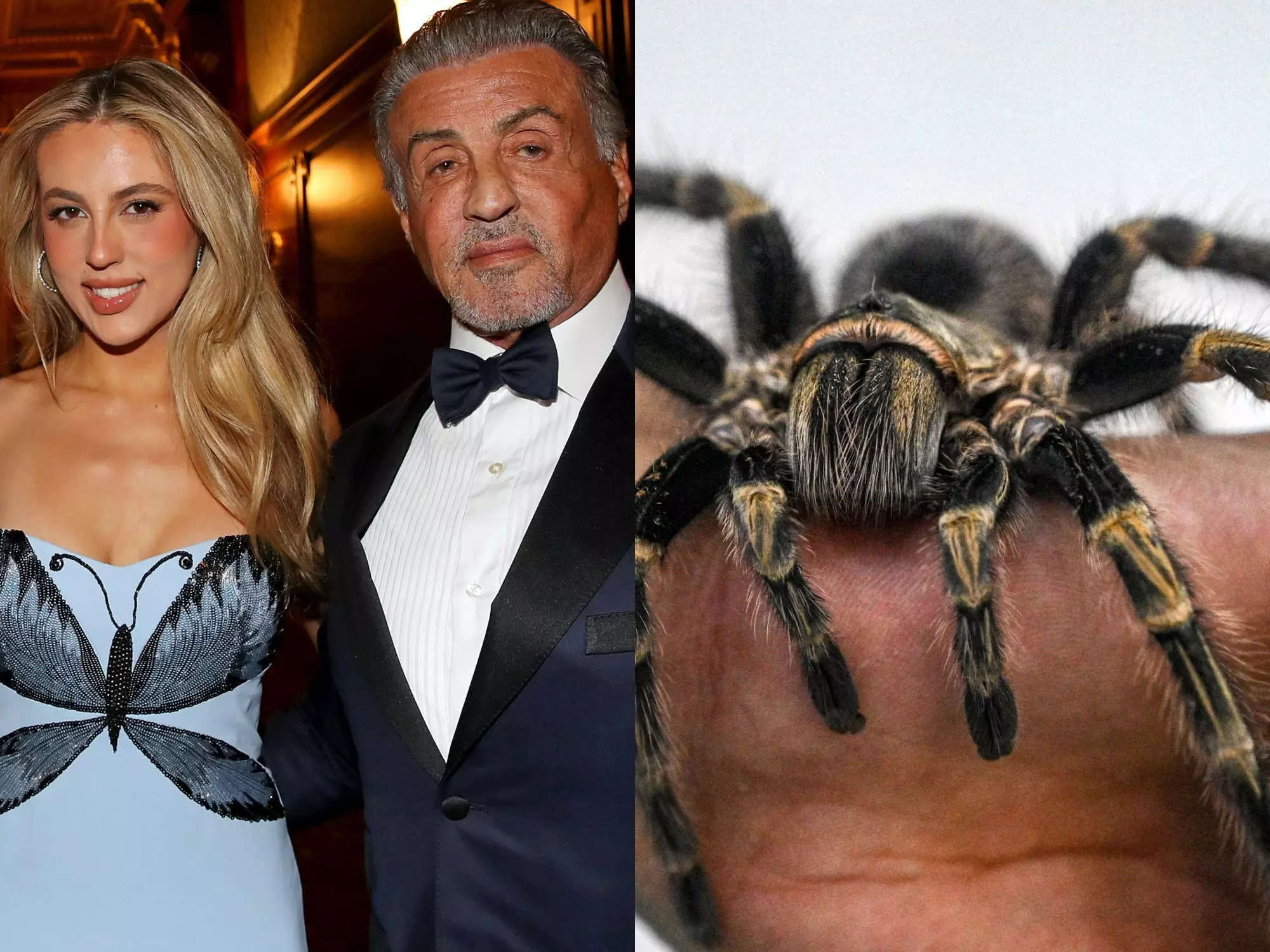 Sylvester Stallone Celebrates His Brave Daughter Sophia Going For It And Facing Her Fear Of 