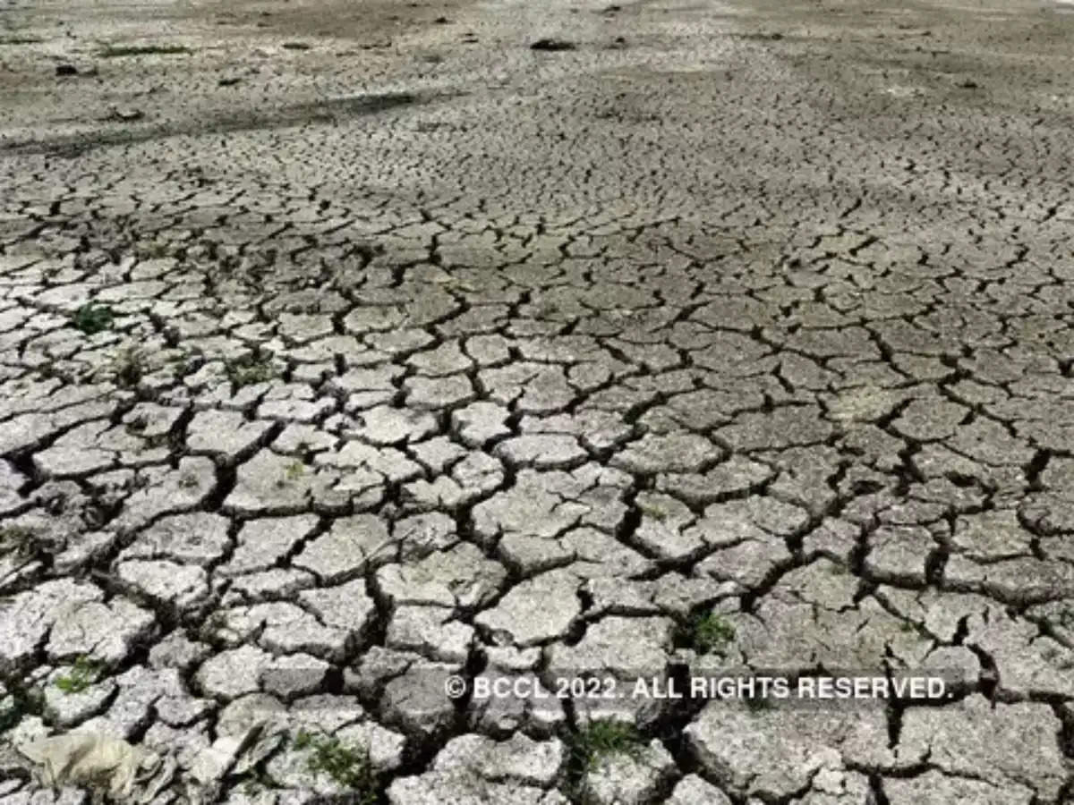 Europe, US, China: Drought Has Got Them All | Business Insider India