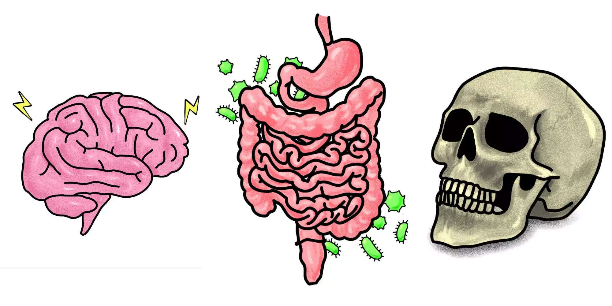 what-happens-to-your-body-when-you-die