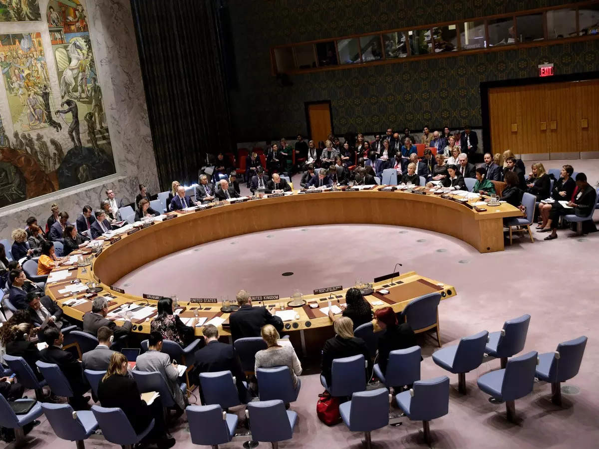 India Abstains On UNSC Resolution Exempting Aid From Sanctions, Says ...