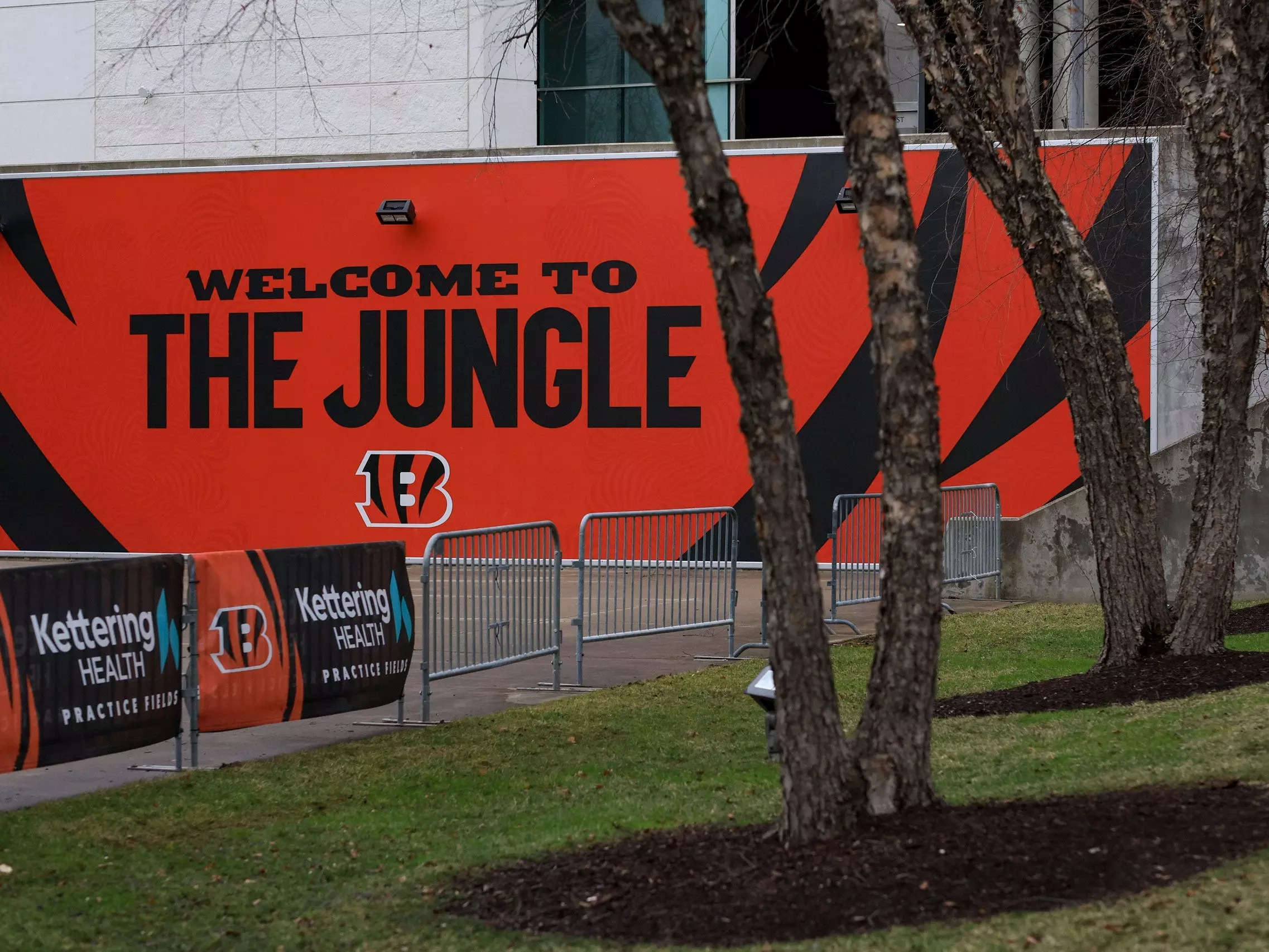 Straight OUTTA The Jungle!  Welcome to the jungle, Cincinnati bengals,  Cincinnati